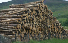 EBP Kent - Forestry