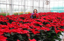 EBP Kent - Horticulture